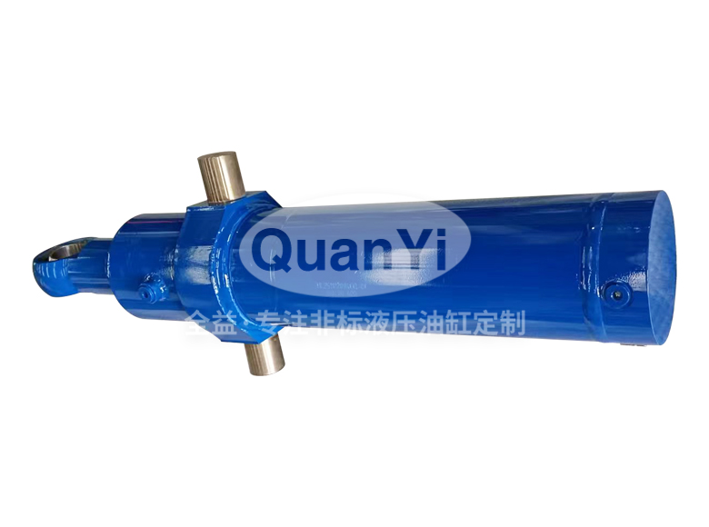 固液分離設(shè)備用油缸 160/80-600